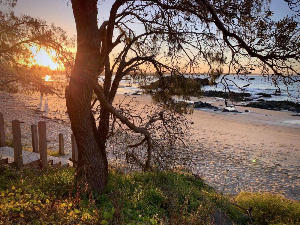 #photoOfTheDay shot on iPhone XS taken in Port Macquarie NSW 2444, Australia | AWS Rekognition sees #Sunlight 99%, #Nature 99%, #Outdoors 99%, #Sky 99%, #Sunset 99% | Sent with ❤️