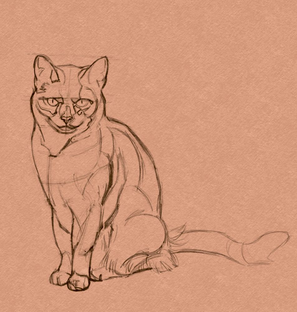 A sketch of a cat with a background colored in desaturated orange. 