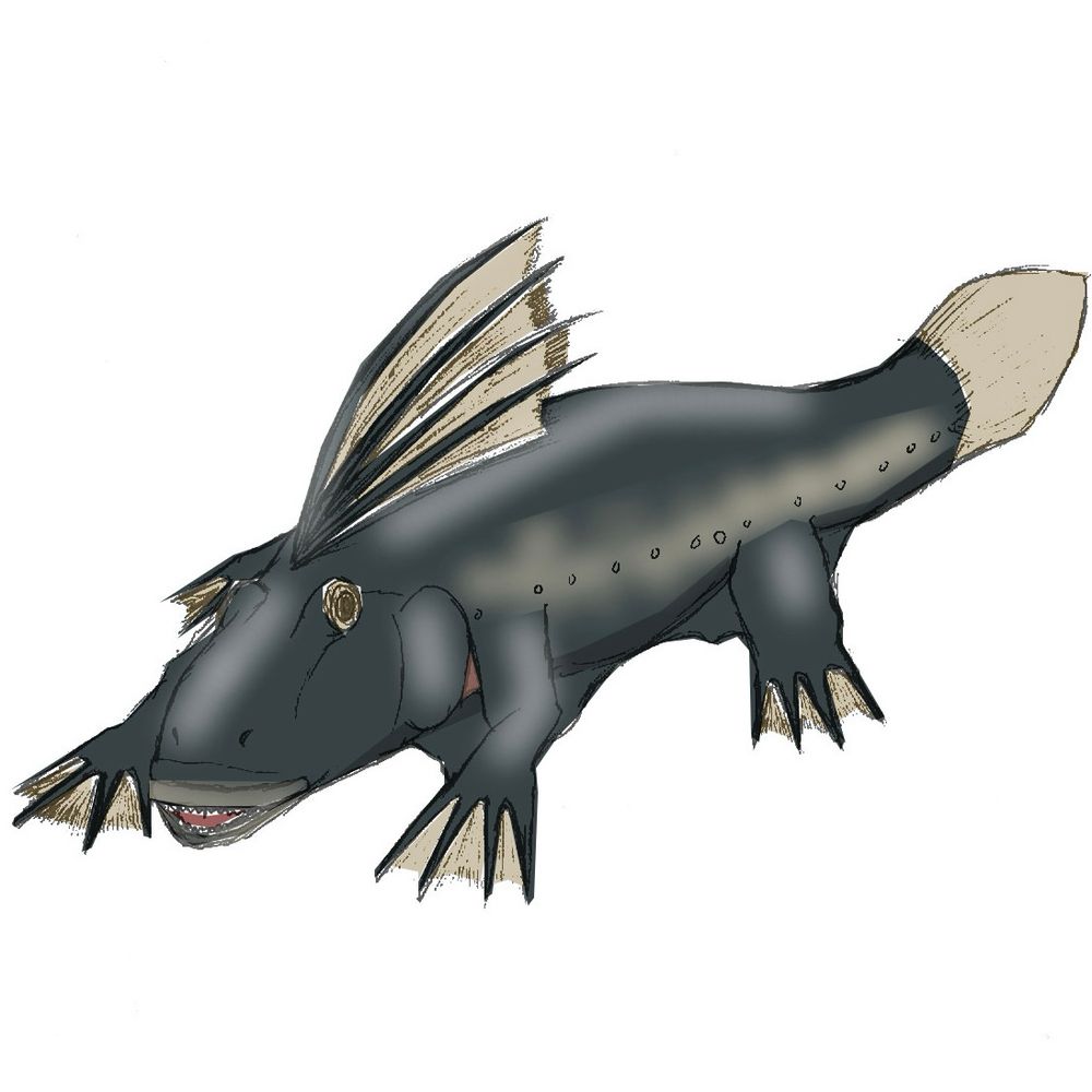 ヴルムのトサカハゼワニ