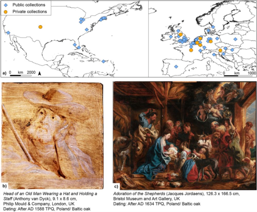 Timber trade in 17th-century Europe: different wood sources for artworks of Flemish painters - Scientific Reports