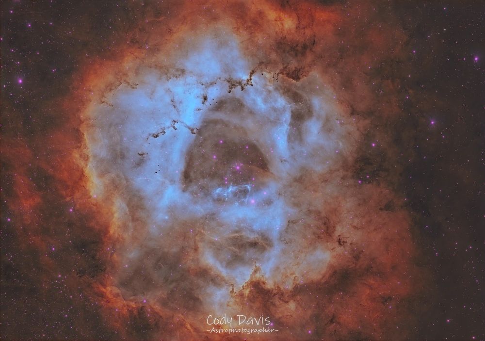 From swirling nebulae, a velvet bloom unfurls,
A cosmic rose, where stardust gently swirls.
Its petals painted with the hues of night,
Where emerald gases dance with sapphire light.
No earthly stem supports this floral grace,
But gravity's soft hand holds it in space.
Its thorns are asteroid trails, a fiery gleam,
Reflecting ancient suns, a vibrant dream.
The scent it breathes, a whisper on the void,
Of elements unknown, forever enjoyed
By wandering comets, in their silent flight,
Drawn to its beauty in the endless night.
A supernova's kiss, a crimson stain,
A memory etched, through cosmic sun and rain.
This stellar blossom, timeless and profound,
A silent wonder, where no earthly foot is found.