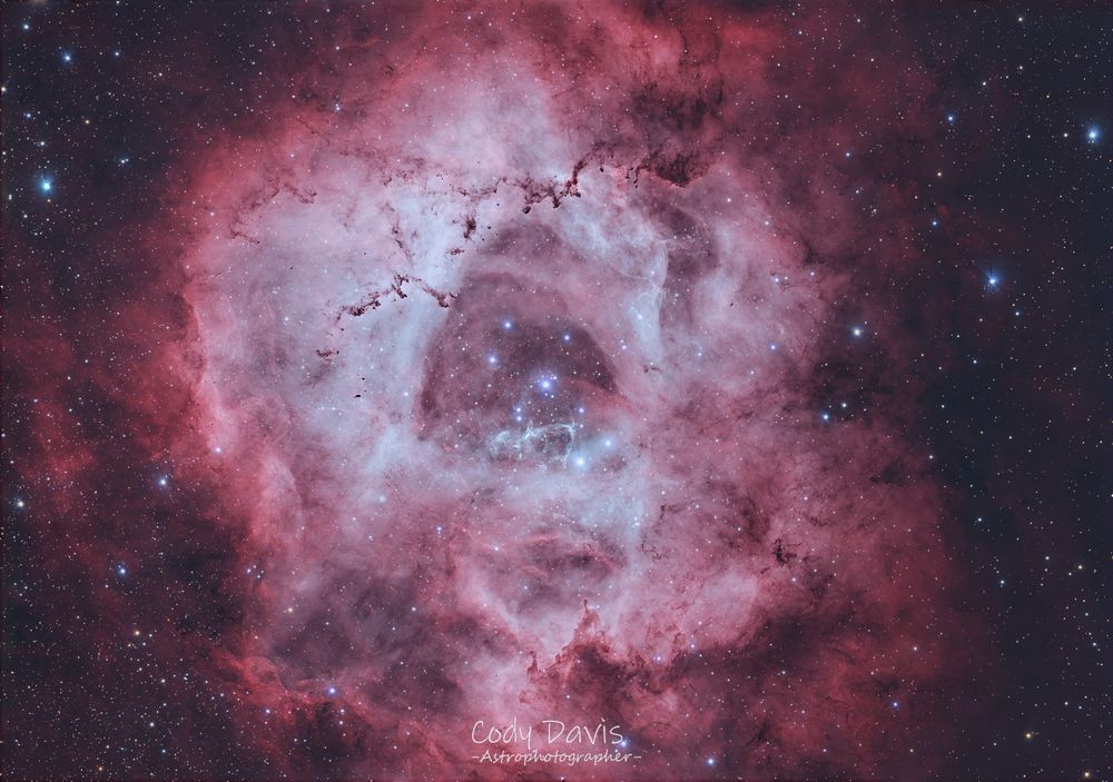From swirling nebulae, a velvet bloom unfurls,
A cosmic rose, where stardust gently swirls.
Its petals painted with the hues of night,
Where emerald gases dance with sapphire light.
No earthly stem supports this floral grace,
But gravity's soft hand holds it in space.
Its thorns are asteroid trails, a fiery gleam,
Reflecting ancient suns, a vibrant dream.
The scent it breathes, a whisper on the void,
Of elements unknown, forever enjoyed
By wandering comets, in their silent flight,
Drawn to its beauty in the endless night.
A supernova's kiss, a crimson stain,
A memory etched, through cosmic sun and rain.
This stellar blossom, timeless and profound,
A silent wonder, where no earthly foot is found.
