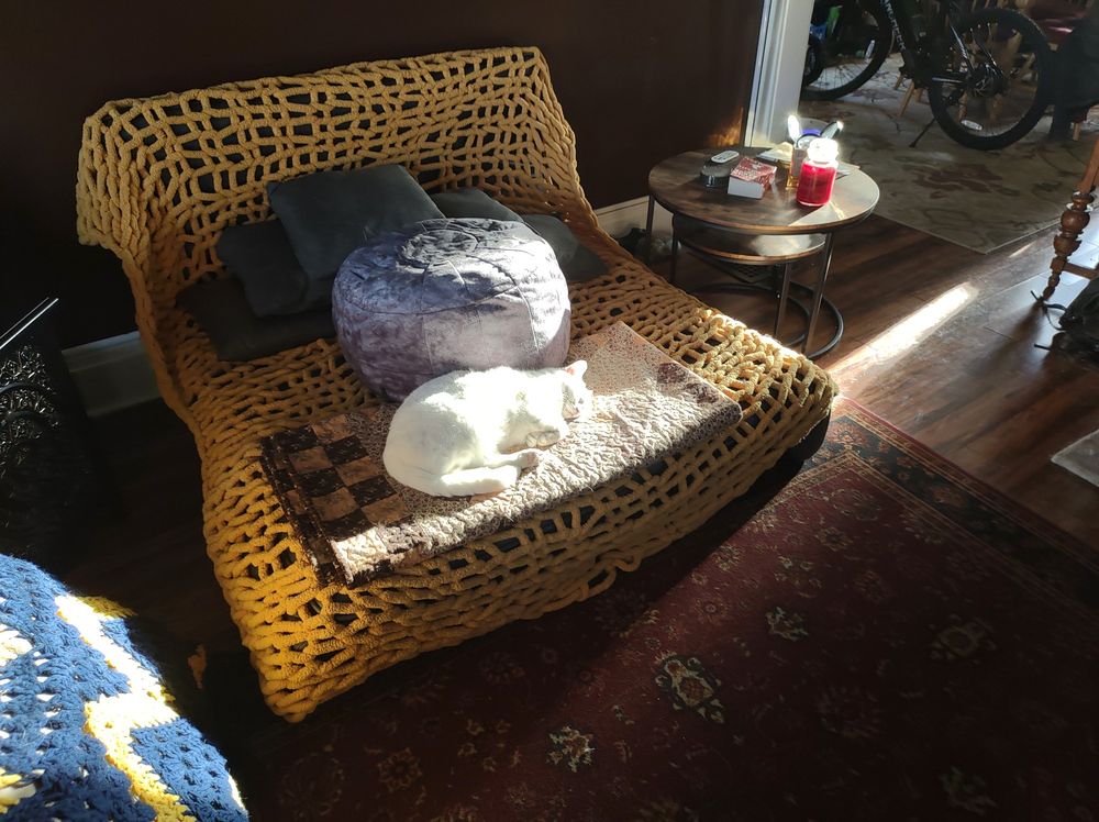 White cat, Bunny, laying on folded out coach in a beam of sunlight.