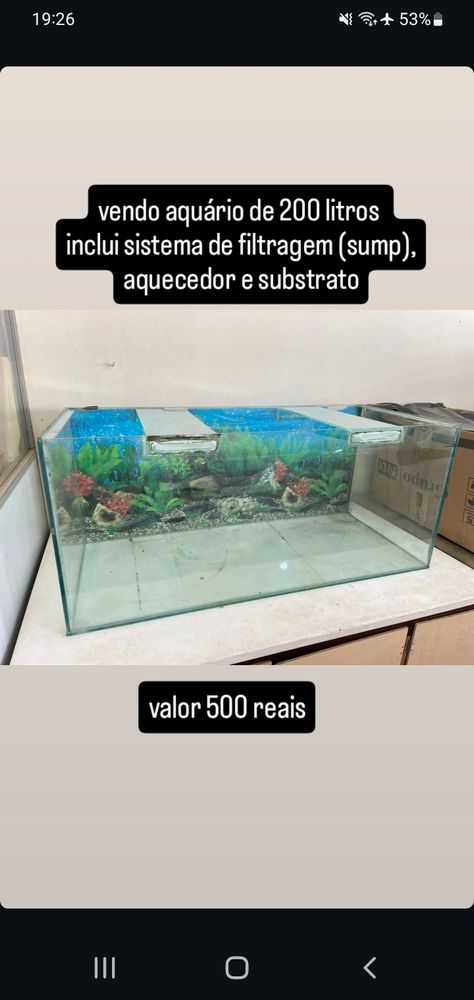 imagem de um aquário vazio em cima de uma mesa de madeira branca, com a legenda "vendo aquário de 200 litros, inclui sistema de filtragem (sump), aquecedor e substrato, valor 500 reais" 