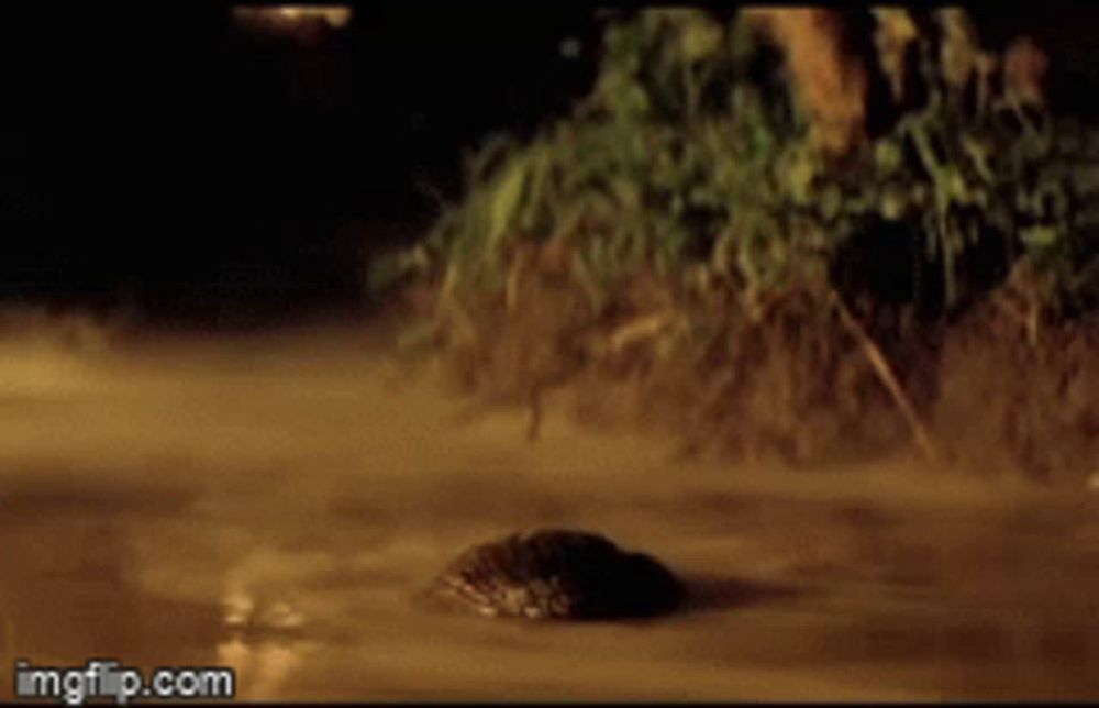 Apocalypse Now Surfacing GIF