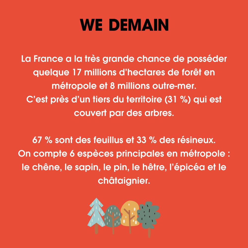 Les forêts en France