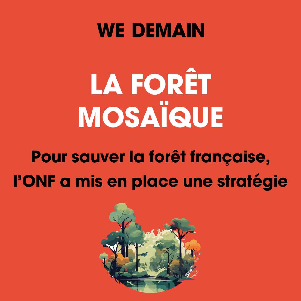 Forêt mosaïque