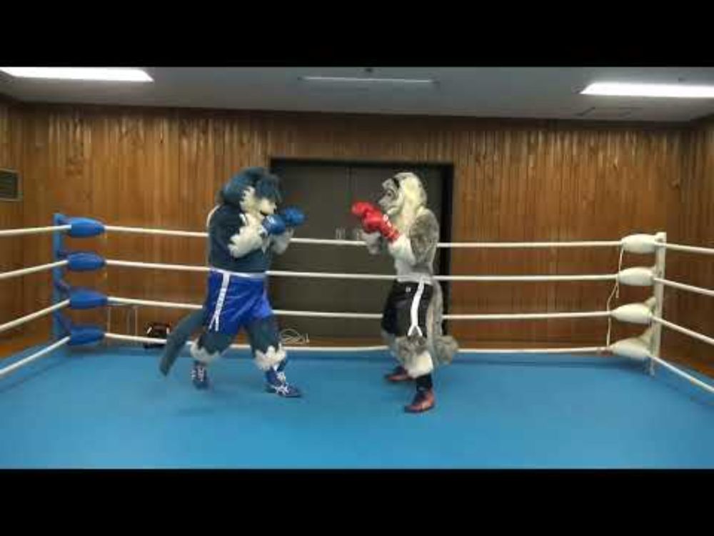 「One Minute Mass Boxing」Hail vs Thickl R2