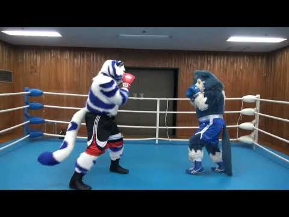 「One Minute Mass Boxing」Lex vs Thickl R3