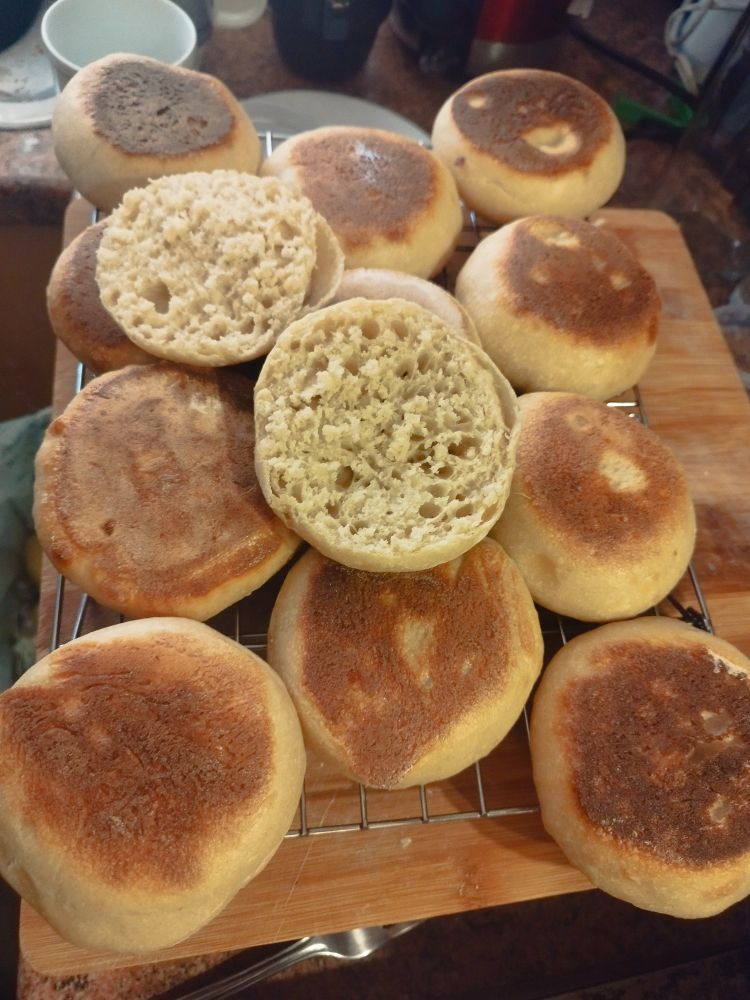 Coming track of cooked Sourdough English Muffins, with one split open to show the insides