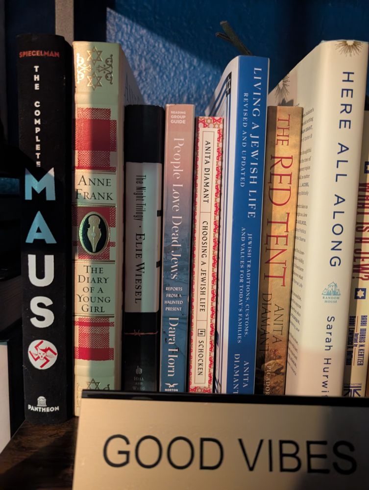 Shelf containing:

The Complete Maus by Art Spiegelman 
The Diary of a Young Girl by Anne Frank 
The Night Trilogy by Elie Wiesel
People love Dead Jews by Dara Horn
Choosing a Jewish Life by Anita Diamant
Living a Jewish Life by Anita Diamant 
The Red Tent by Anita Diamant 
Here All Along by Sarah Hurwitz