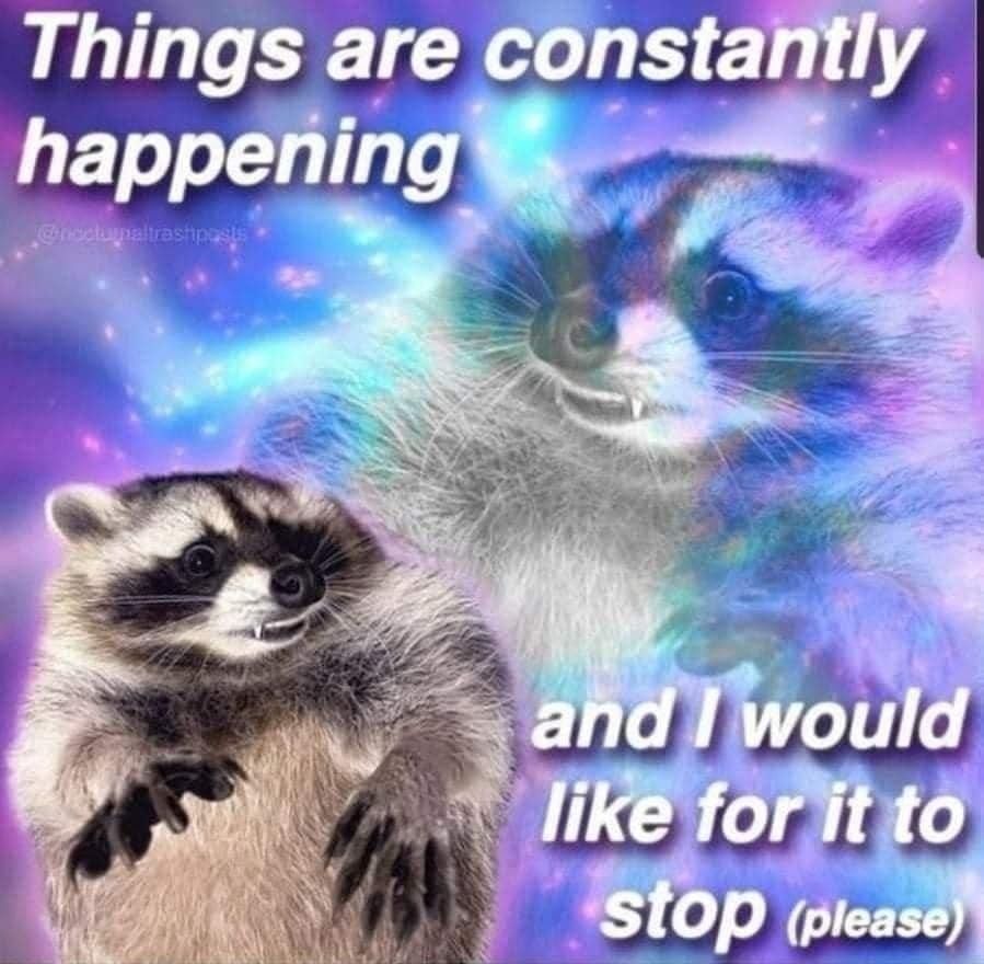 A stressed raccoon in the foreground, the same raccoon but zoomed in and faded opposite it. Both are on a purple, space themed background. Text reads: "things are constantly happening, and I would like for it to stop (please)"