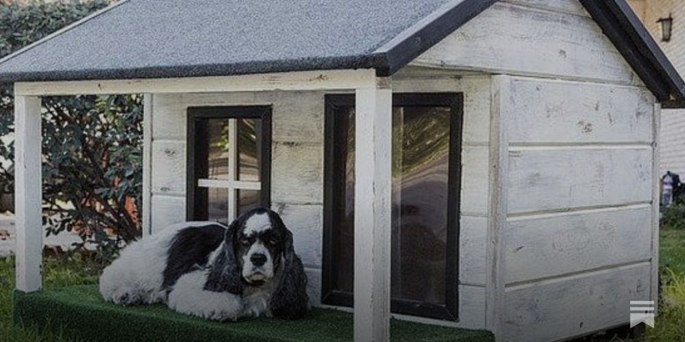 The dog is digging up the plants again