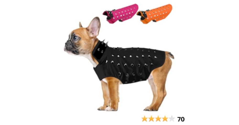 Amazon.com : Sheripet Coyote Proof Dog Vest, Waterproof Anti Hawk Vest with Warm Fleece Lining, Dog Protection Vest with Spikes Rivet to Protect Your Dogs from Coyote and Hawks Attacks, Black, Small :...