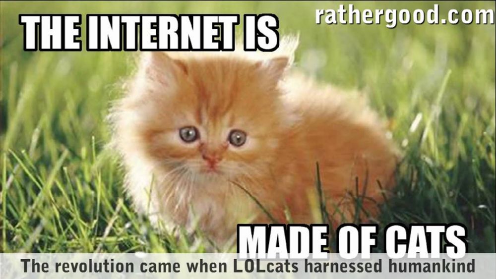 The Internet Is Made Of Cats