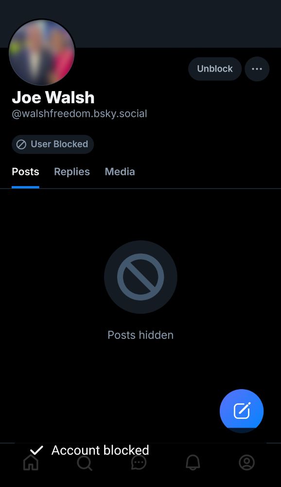 Screenshot of BSKY account for Joe Walsh, walshfreedom.bsky.social blocked fully