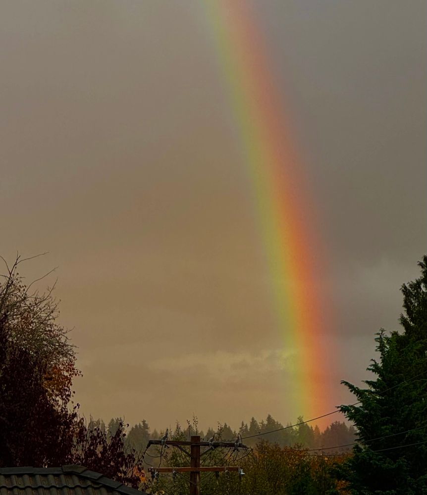 The regular shot of Tahoma, from miles away, between pine trees. A telephone pole beneath the distant tree line.

Tahoma isn’t visible, as grey, almost brown rain clouds obscure it. A fairly strong rainbow is lined up right where Tahoma would be, if vision was unobstructed. 