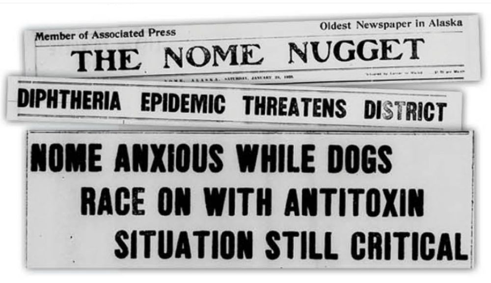 Historic newspaper headlines reading The Nome Nugget, Diphtheria Epidemic Threatens District, Nome Anxious While Dogs Race On with Antitoxin Situation Still Critical 