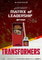 The matrix of leadership is now a diffuser 