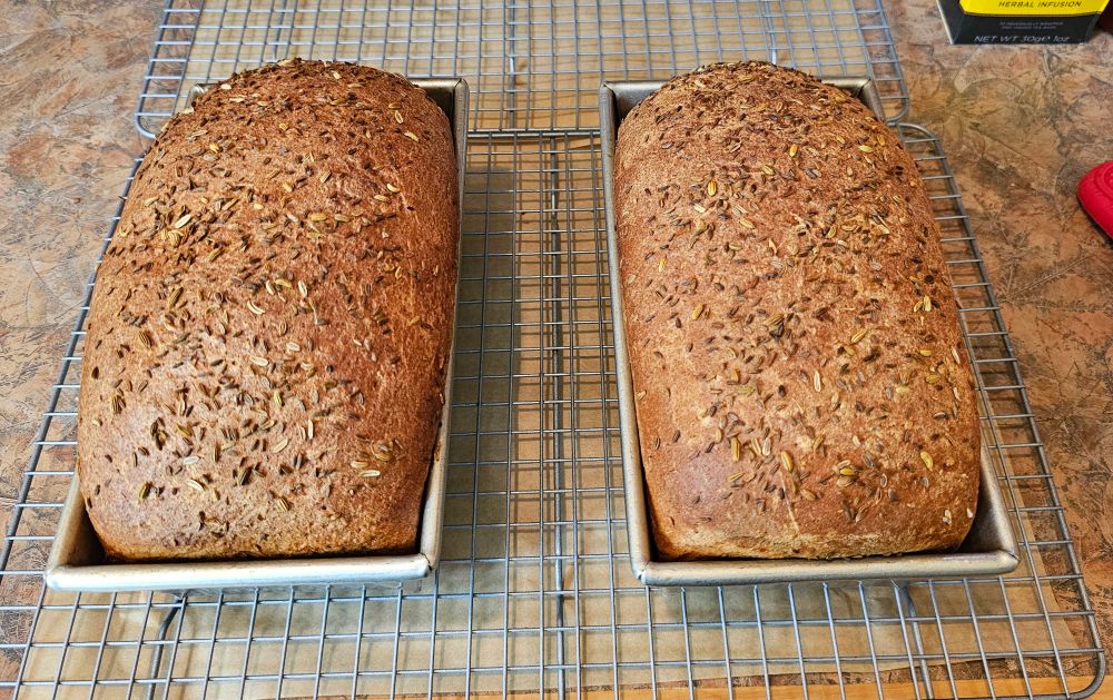 Photo of two loaves of rye bread still in their baking pans, fresh out of the oven.