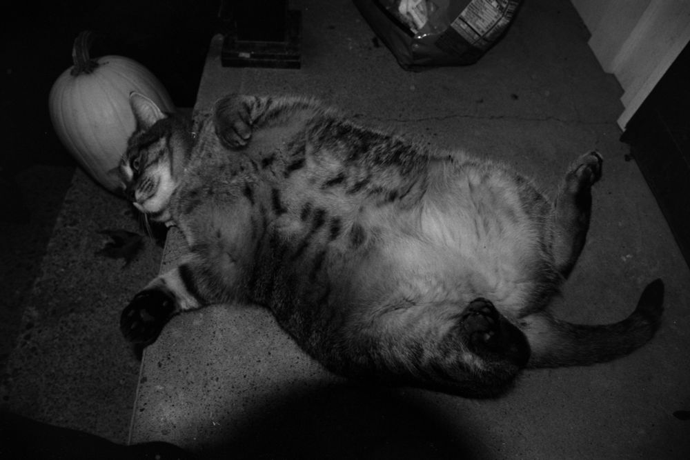 Bubbles rolling on her back. Her belly is pale.