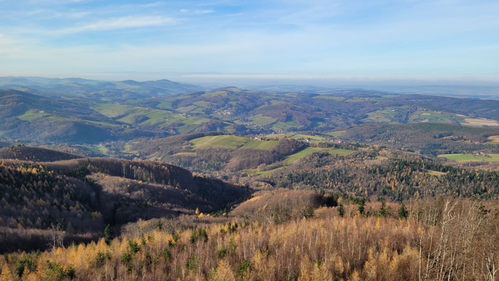 Blick über Hügel mit Herbstwald. Am Horizont im Hintergrund ein Nebelmeer.