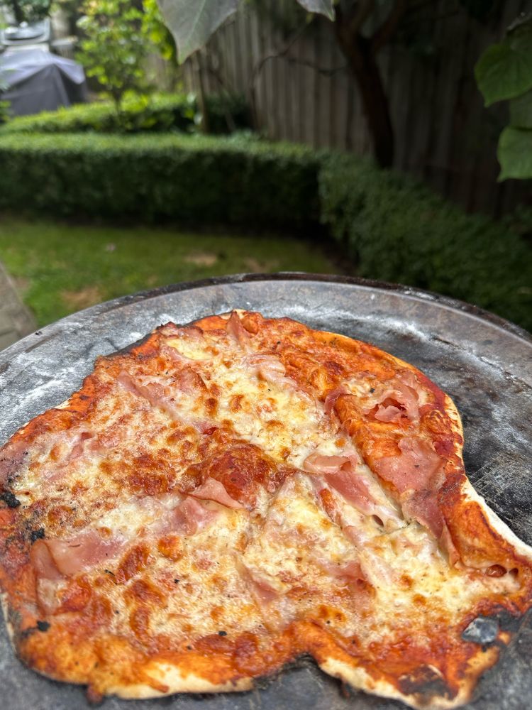 A cheese and prosciutto pizza on a tray, being carried through our wet green garden ready to be eaten!