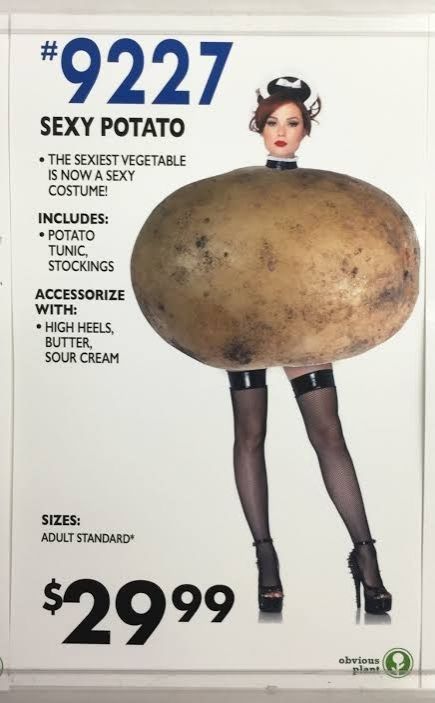 An Obvious Plant advertisement.

It is of a Sexy Potato Halloween costume.

There is an image of a woman wearing fuck me heels and thigh high stocking with an actual potato photoshopped over to look like a costume.

The advertising copy reads.

Sexy Potato.
The series vegetable is now a sexy costume.
Includes:
Potato Tunic
Stockings

Accessorise with:
High heels
Butter
Sour cream.

Sizes
Adult standard.

$29.99