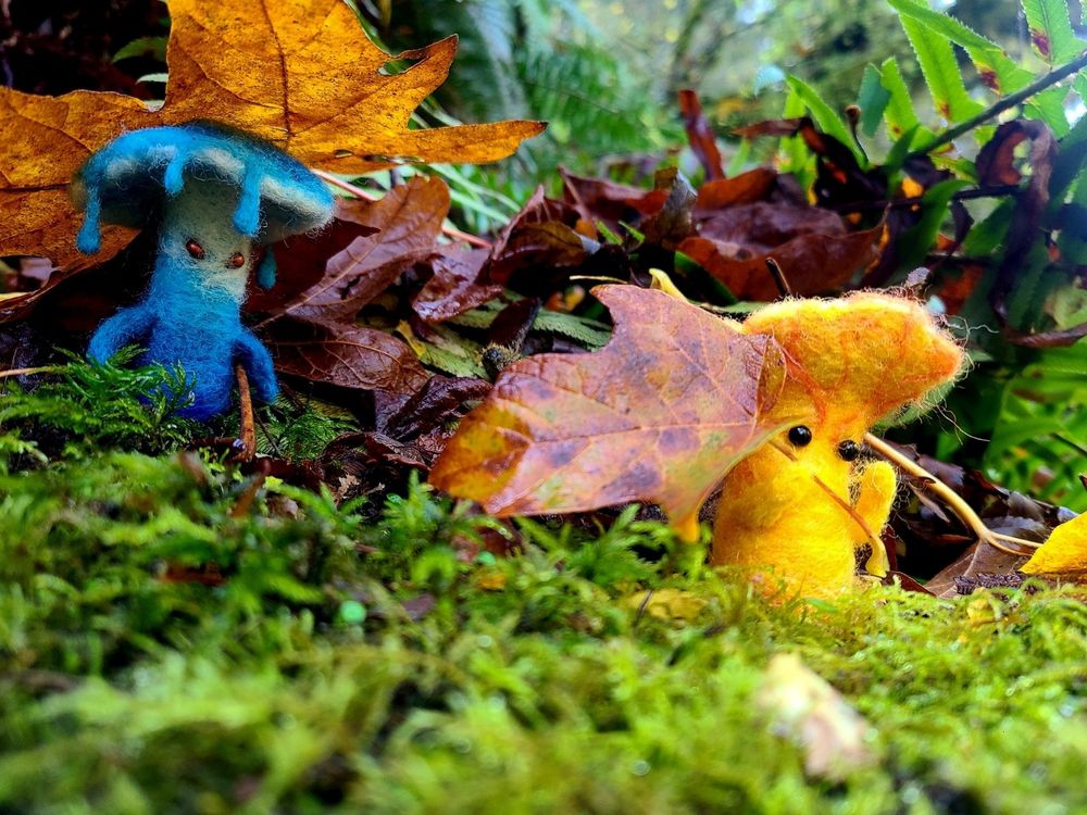 Two felted mushroom fae frolic amid the autumn leaves. 