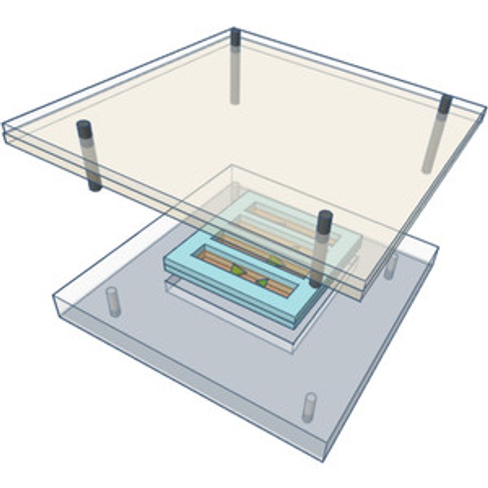 In situ counter-diffusion crystallization and long-term crystal preservation in microfluidic fixed targets for serial crystallography