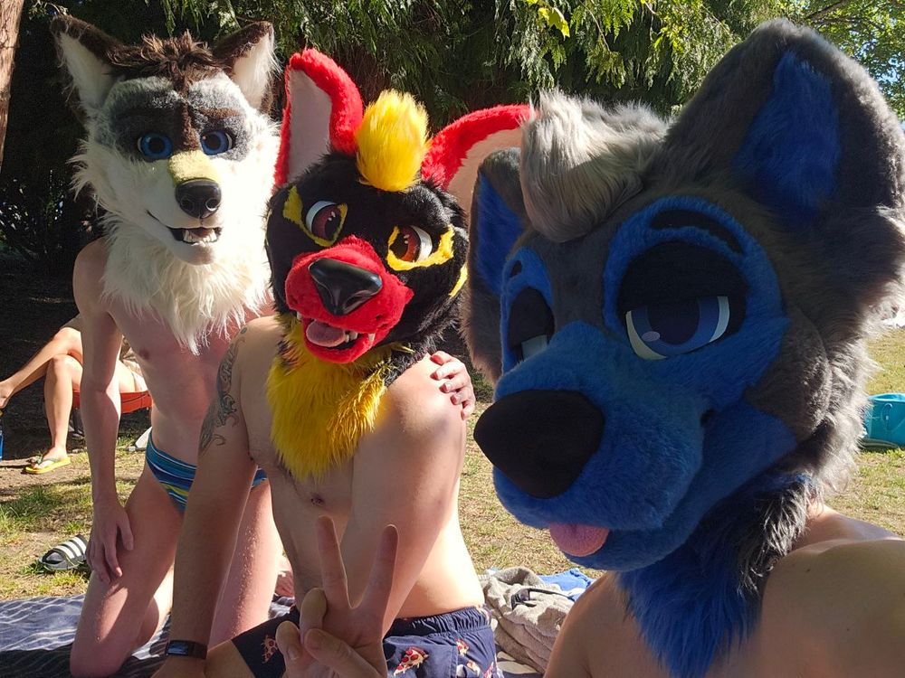 Three Dog Furries being Beachy on the Beach