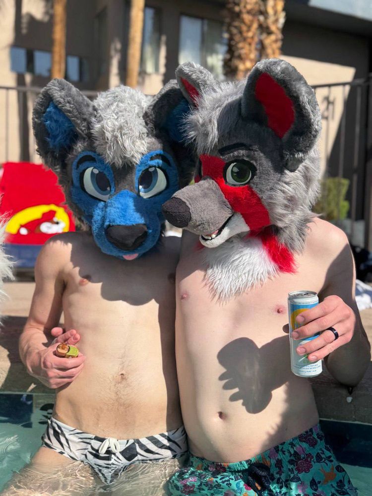 A wusky and coyote furry chilling by the pool in swimwear