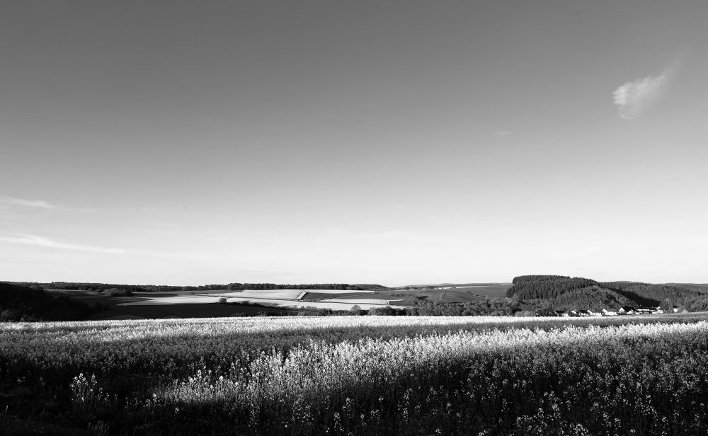 Hunsrück landscape in b/w