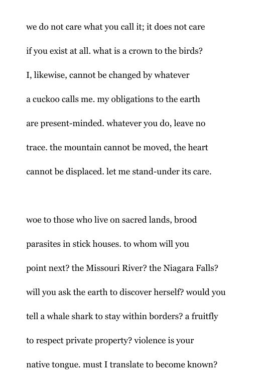 we do not care what you call it; it does not care 

if you exist at all. what is a crown to the birds?

I, likewise, cannot be changed by whatever

a cuckoo calls me. my obligations to the earth

are present-minded. whatever you do, leave no 

trace. the mountain cannot be moved, the heart 

cannot be displaced. let me stand-under its care.



woe to those who live on sacred lands, brood 

parasites in stick houses. to whom will you 

point next? the Missouri River? the Niagara Falls? 

will you ask the earth to discover herself? would you

tell a whale shark to stay within borders? a fruitfly

to respect private property? violence is your

native tongue. must I translate to become known?
