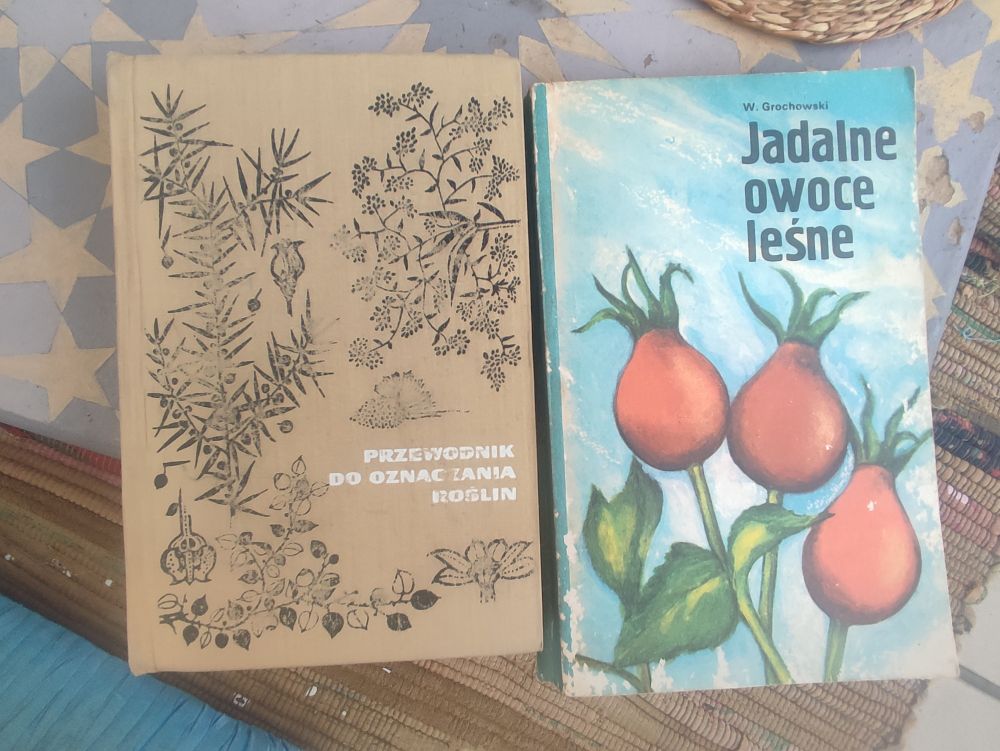 photo of two books in polish. One on the left has beige canvas cover with embossed plants and it's plant identification guide. One in the right has a drawing od rosehips in full colour on a cover and it's about edible forest fruits.