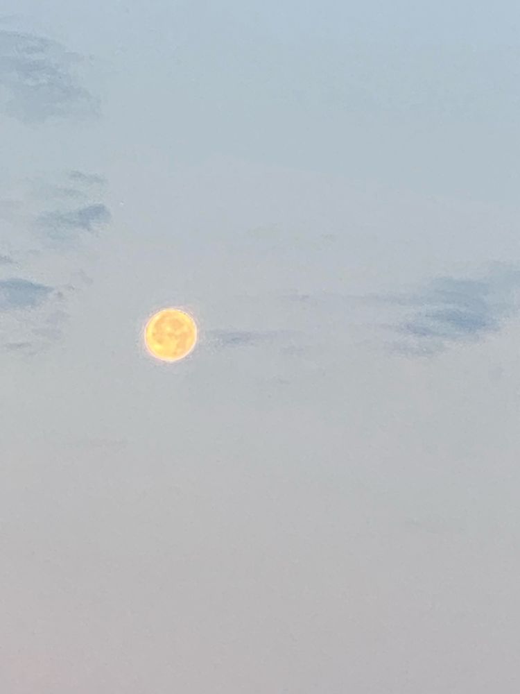 I took pictures of the moon early this morning as it became daylight
