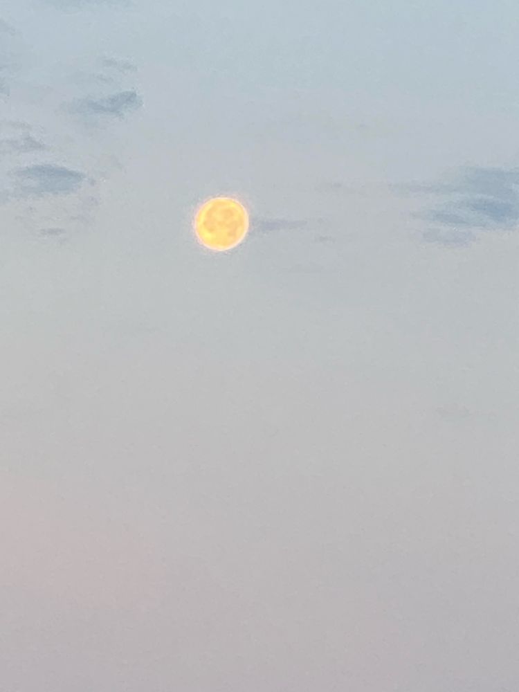 I took pictures of the moon early this morning as it became daylight