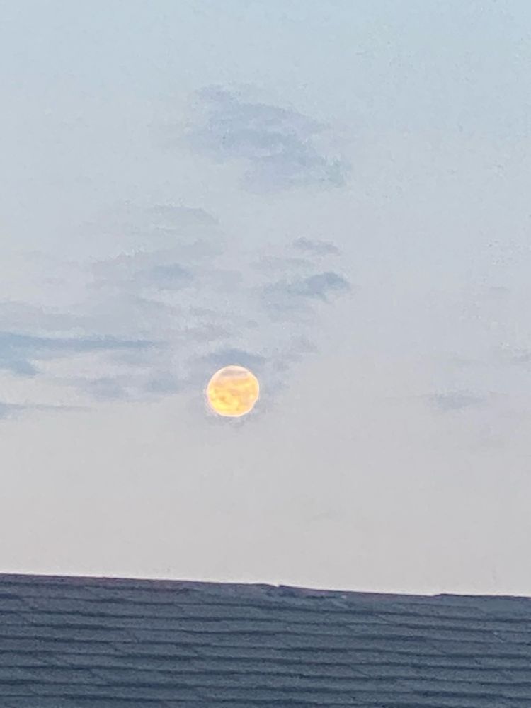 I took pictures of the moon early this morning as it became daylight