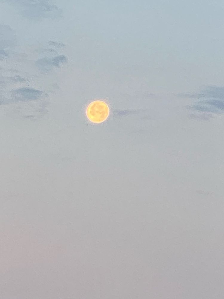 I took pictures of the moon early this morning as it became daylight