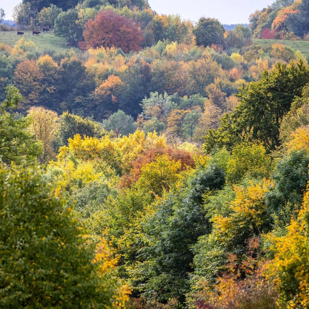 John Keats: Ode an den Herbst