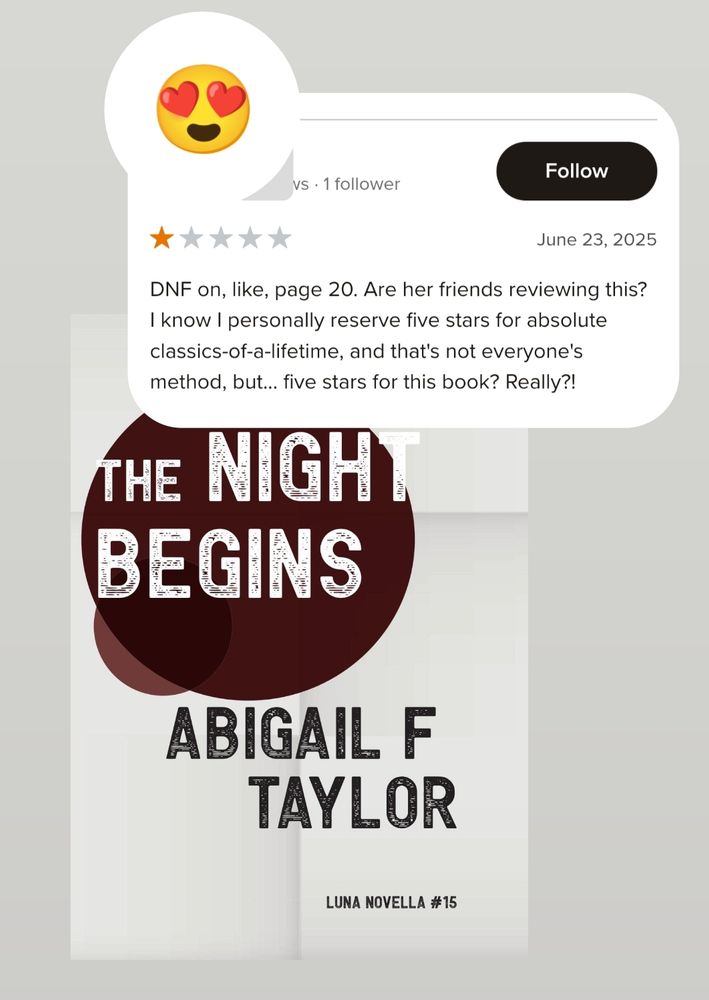 A 1 star review for THE NIGHT BEGINS. "DNF on, like, page 20. Are her friends reviewing this? I no I personally reserve five stars for absolute classics of all time, and that's not everyone's method but... Five stars for this book? Really?!"
