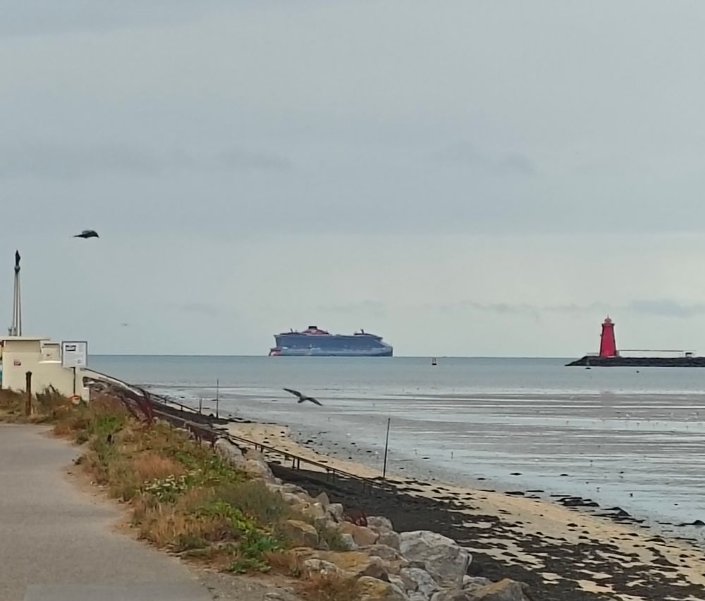 Picture of a cruise ship
