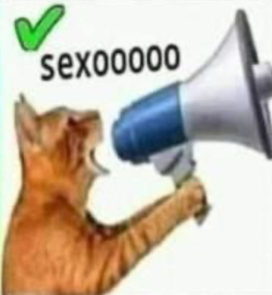 sexoooo kitty