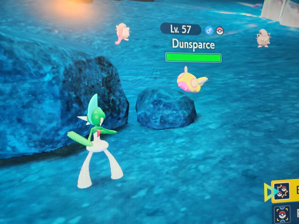 Shiny Dunsparse