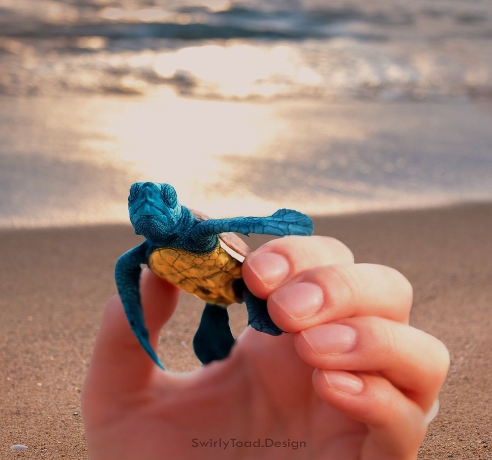 A hand holding a baby sea turtle who is colored to resemble Squirtle the pokemon
