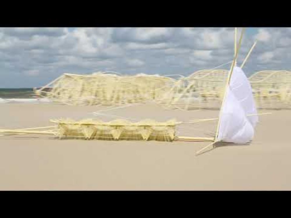 アニマリス・カリブス【山梨県立美術館テオ・ヤンセン展】