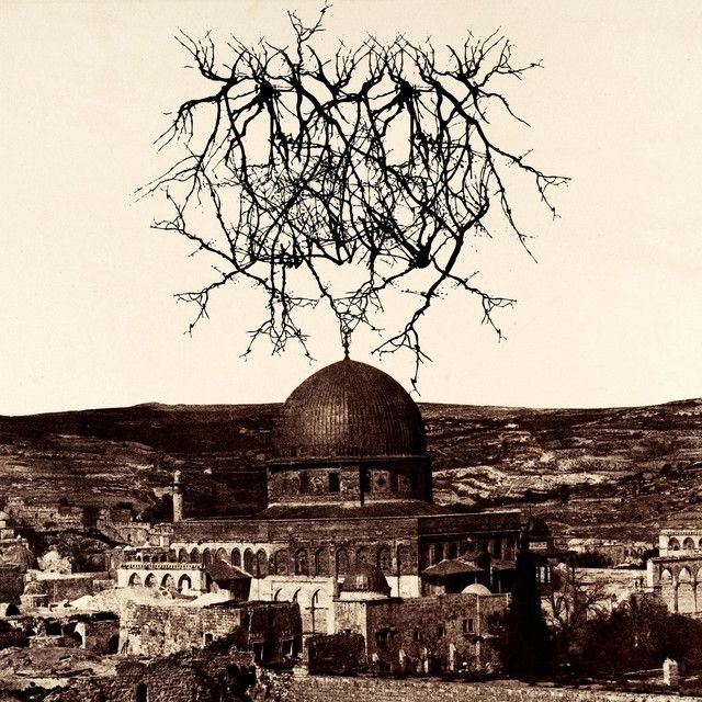 Cover of "Impressions of the Morning Star" by Entropy Created Consciousness 