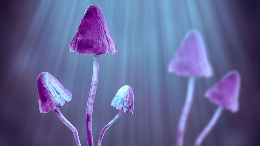 Psilocybin Bests SSRI for MDD in First Long-Term Comparison