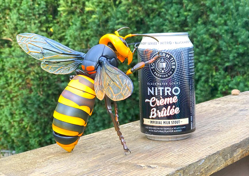 A large yellow and black wasp, leaning against a 12-ounce beer empty beer can on a wooden deck railing, against a leafy green background. The exoskeleton is somewhat plastic-y in appearance.
