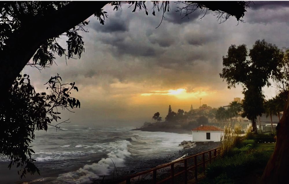 Storm clouds are covering the sky with one small opening where the setting sun is peaking through. Coloring that piece of sky in golden sunset light. 

The sea is frothing and mist is rising. A large tree is leaning into the frame from the left. The beach and coastline are bathed in the early evening glow on the right side of the picture. 